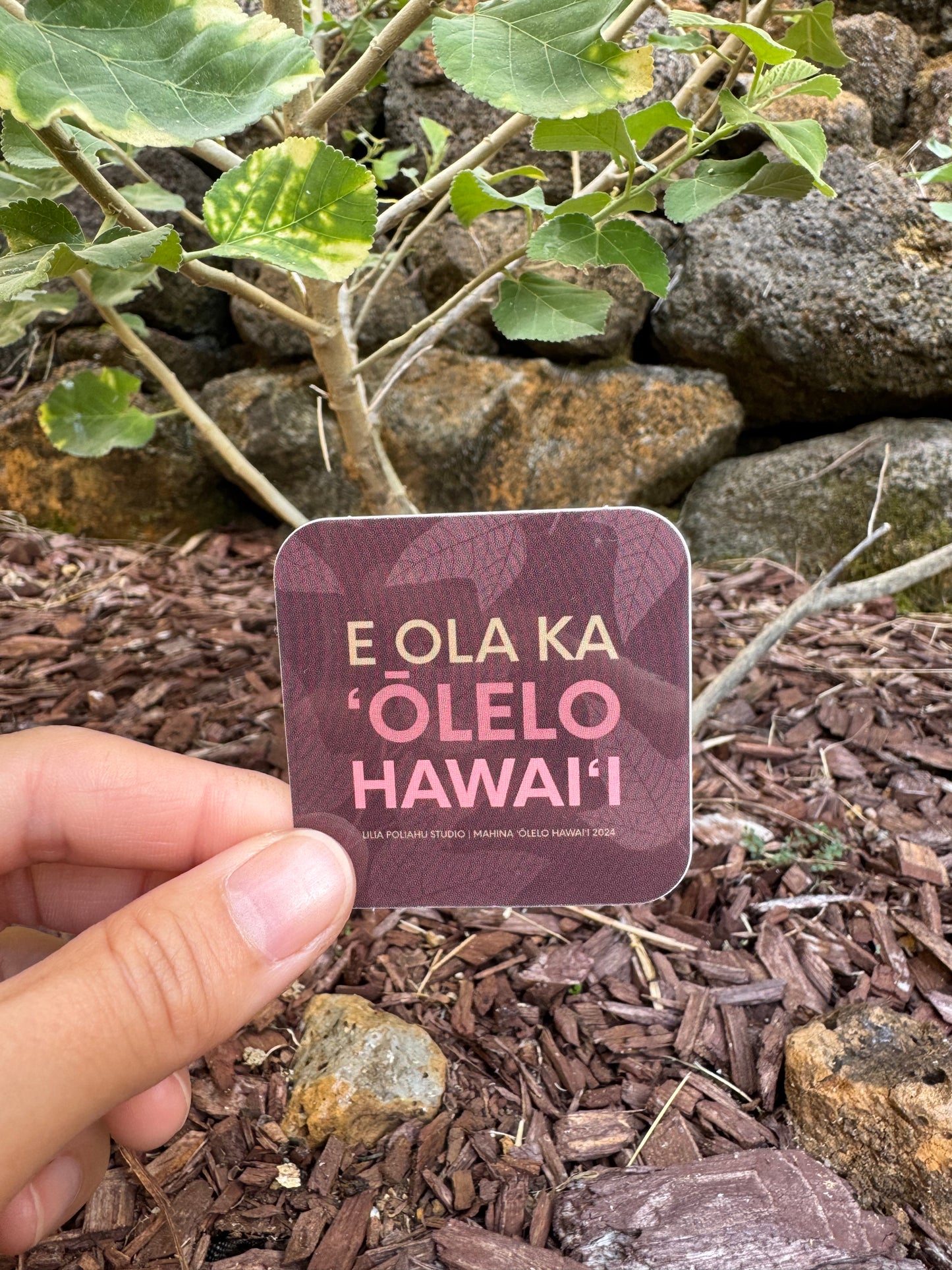 Pepili liʻiliʻi | E Ola Ka ʻŌlelo Hawaiʻi