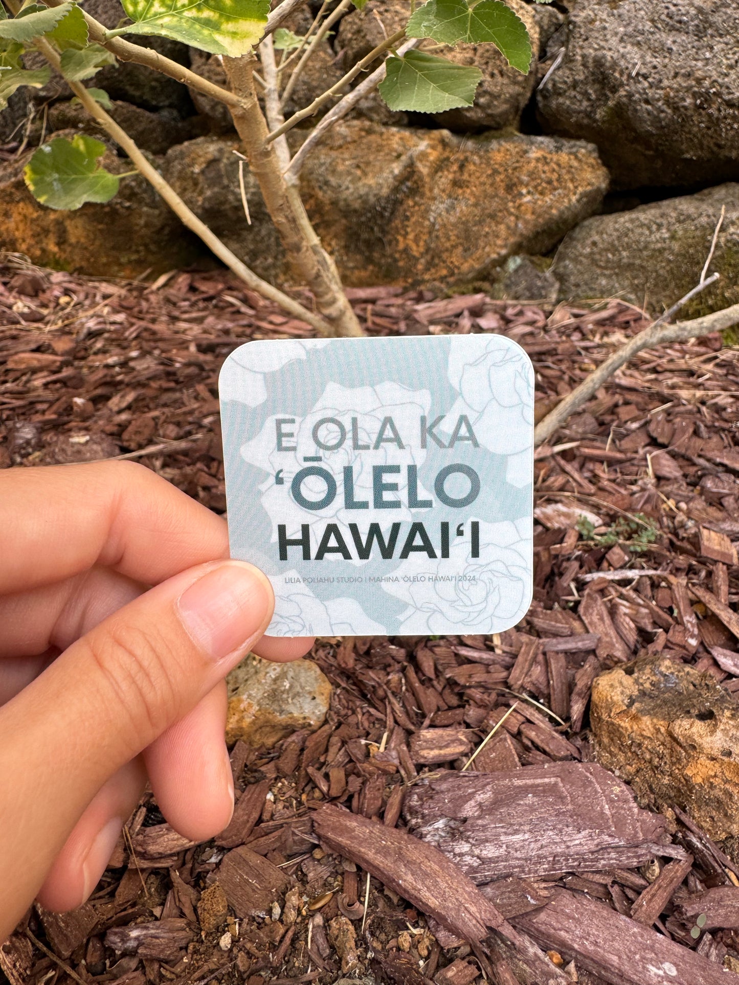 Pepili liʻiliʻi | E Ola Ka ʻŌlelo Hawaiʻi