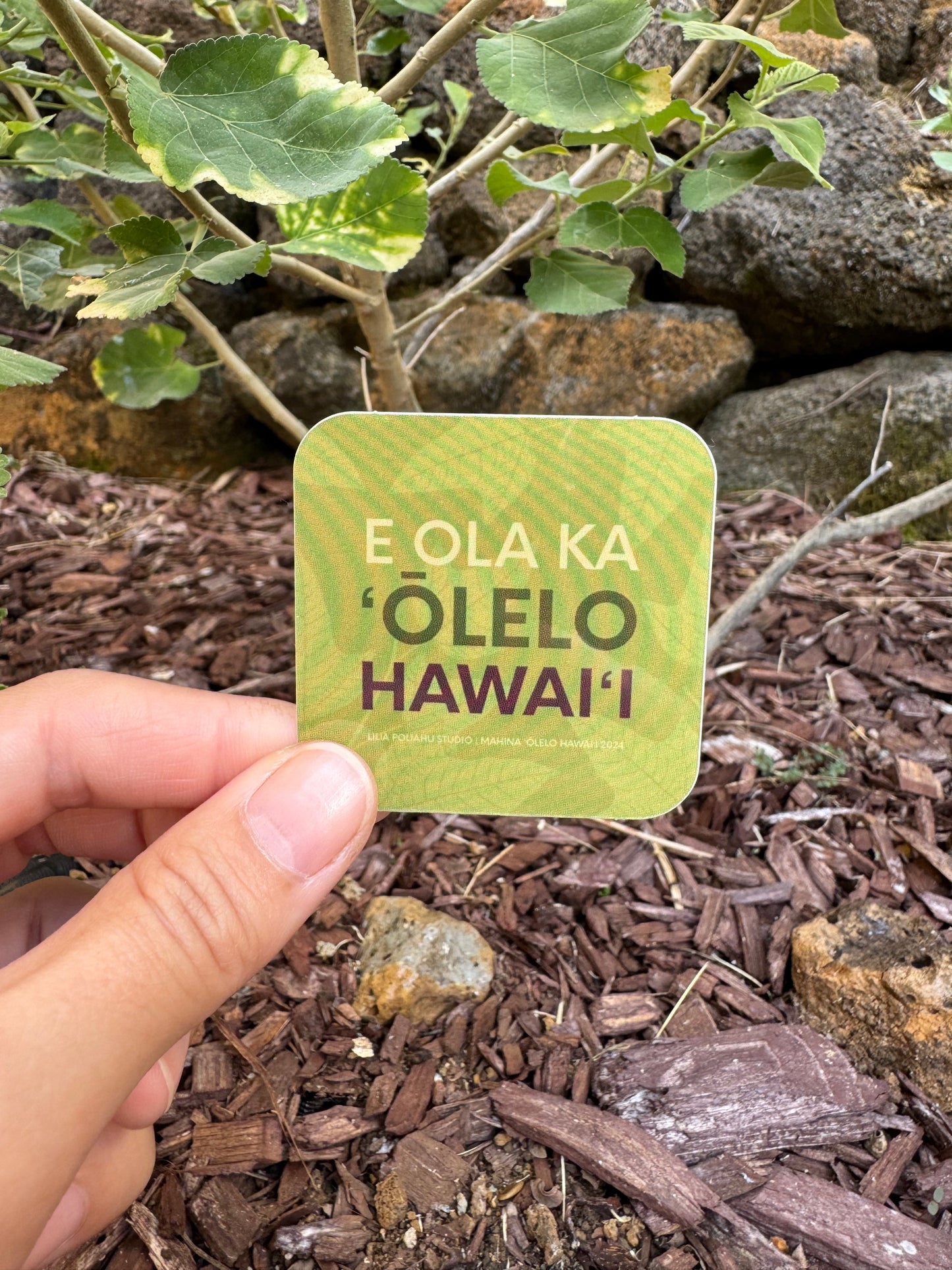 Pepili liʻiliʻi | E Ola Ka ʻŌlelo Hawaiʻi