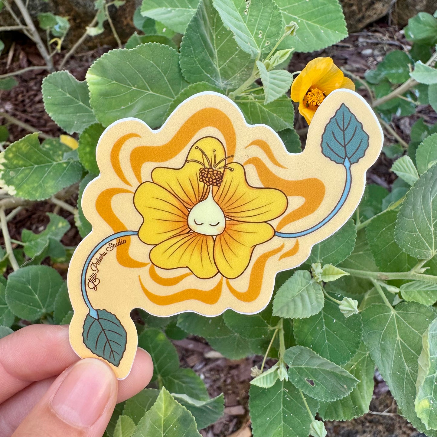 Pepili | No. 29 ʻIlima