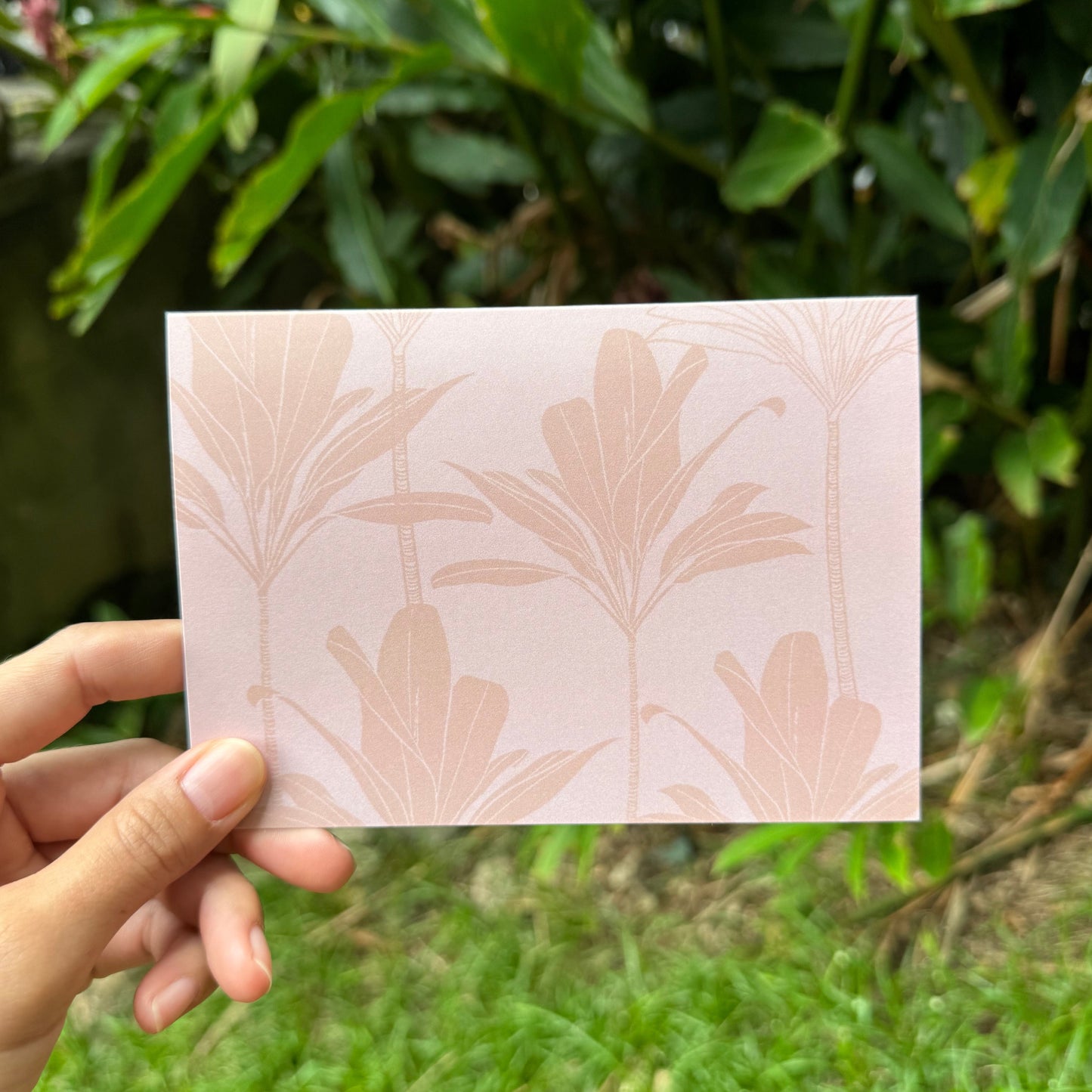 Kāleka Nota | Lāʻī