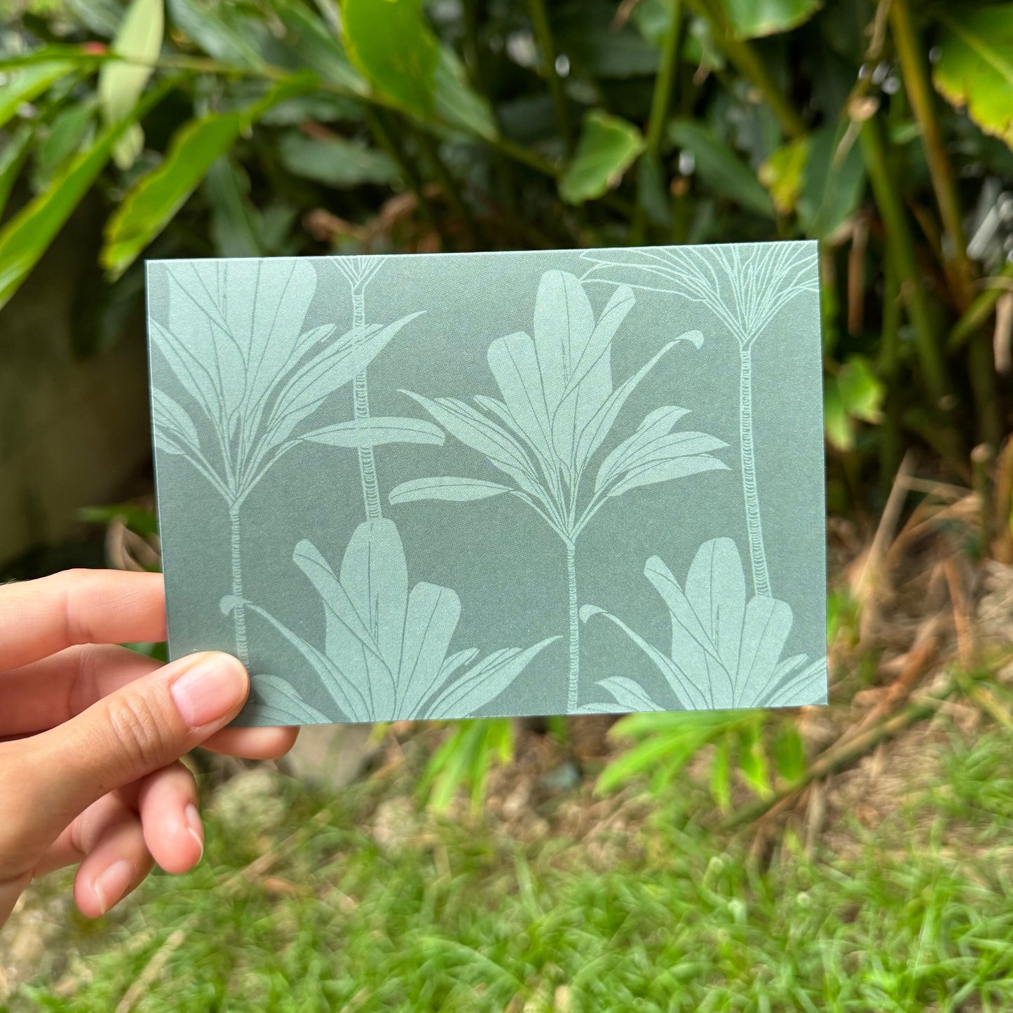Kāleka Nota | Lāʻī