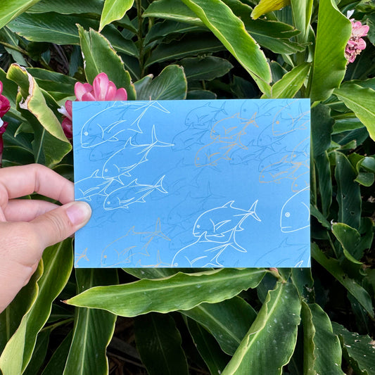 Kāleka Nota | ʻUlua