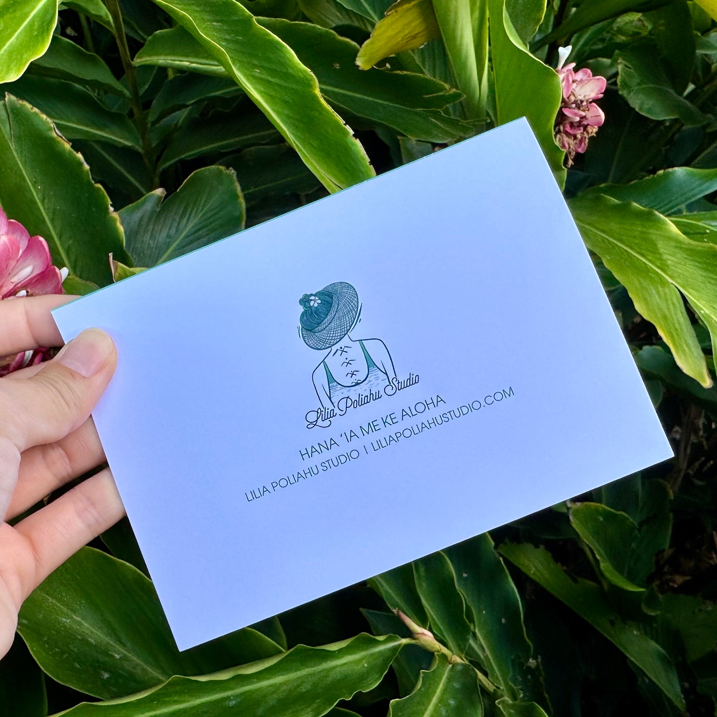 Kāleka Nota | Lei Aʻeaʻe