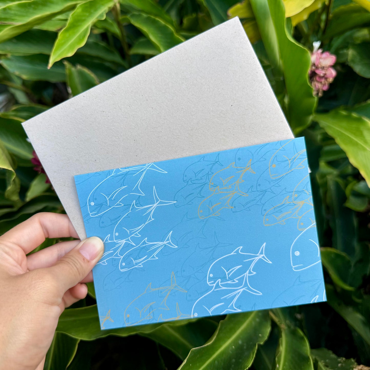 Kāleka Nota | ʻUlua