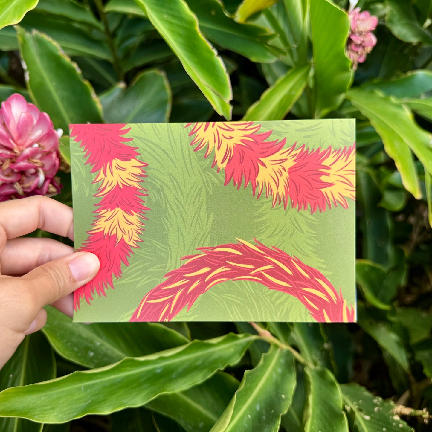 Kāleka Nota | Lei Aʻeaʻe