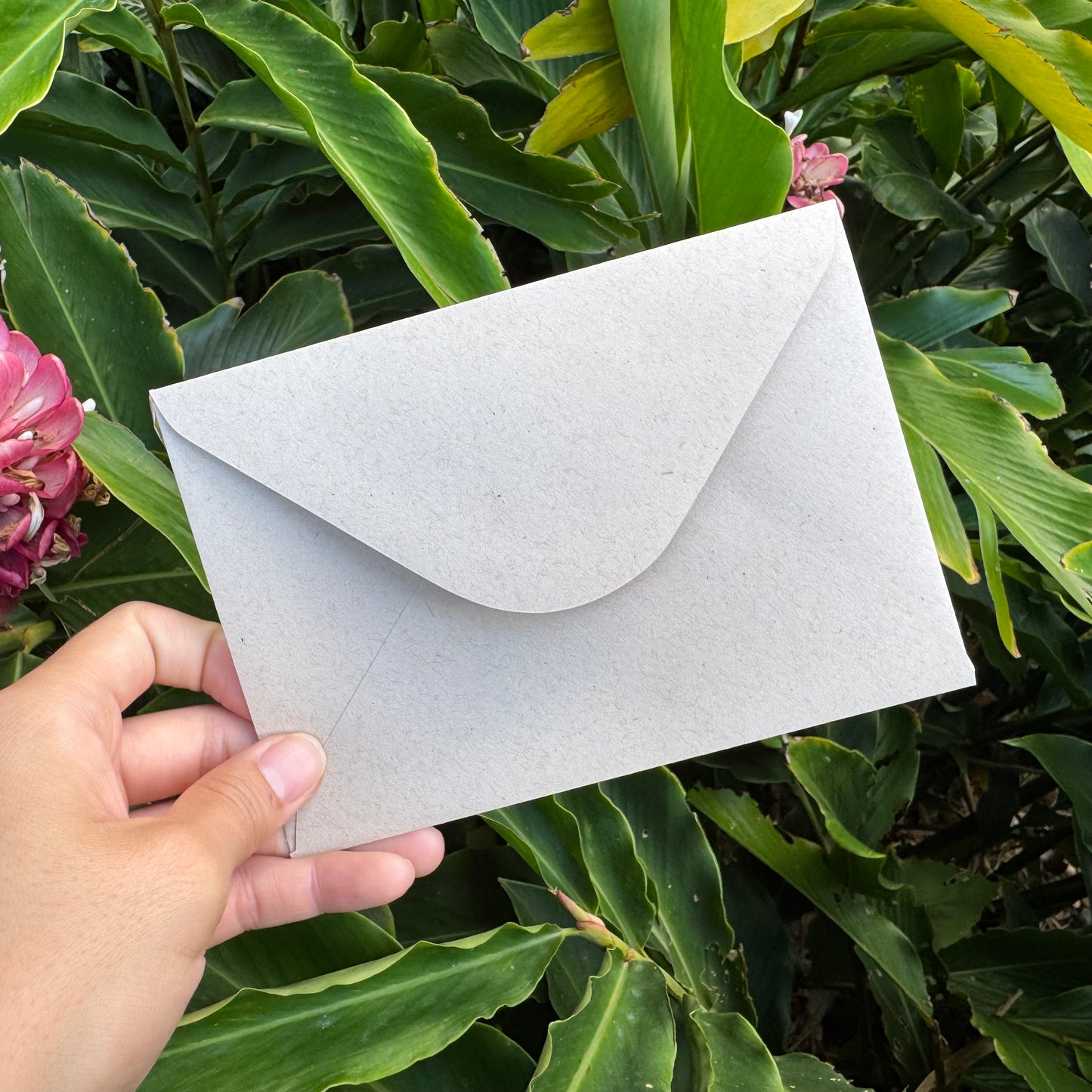 Kāleka Nota | Lei Aʻeaʻe
