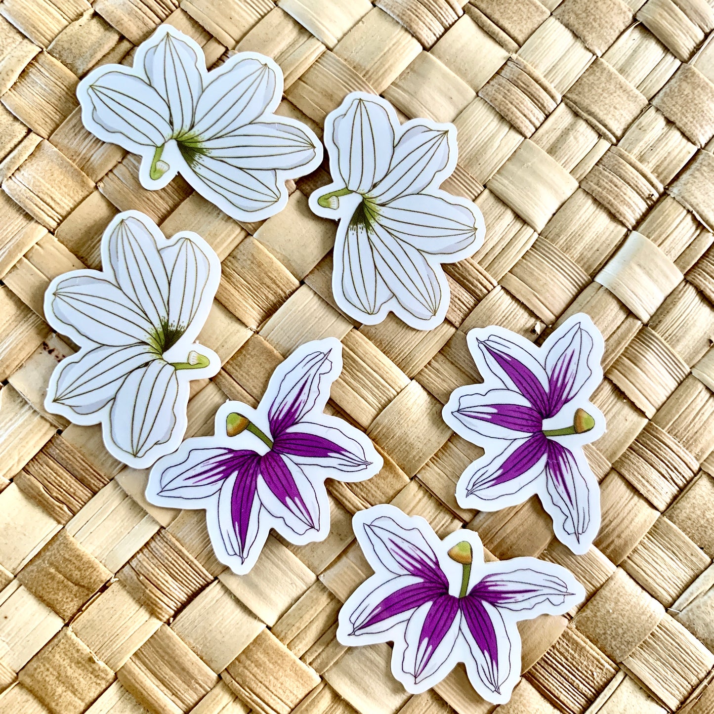 Pepili | Naupaka Kahakai + Kuahiwi Set