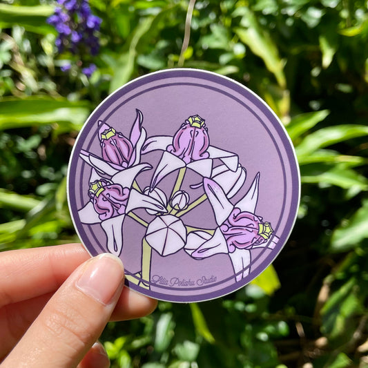 Pepili Pōʻai | Pua Kalaunu