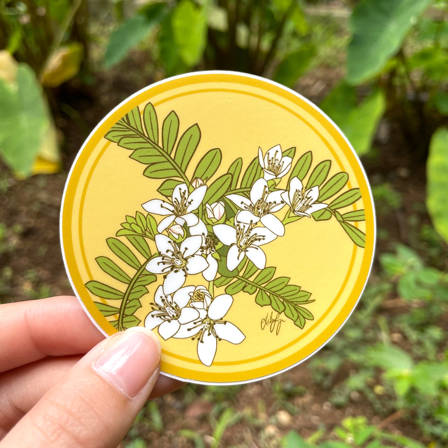 Pepili Pōʻai | ʻUlei