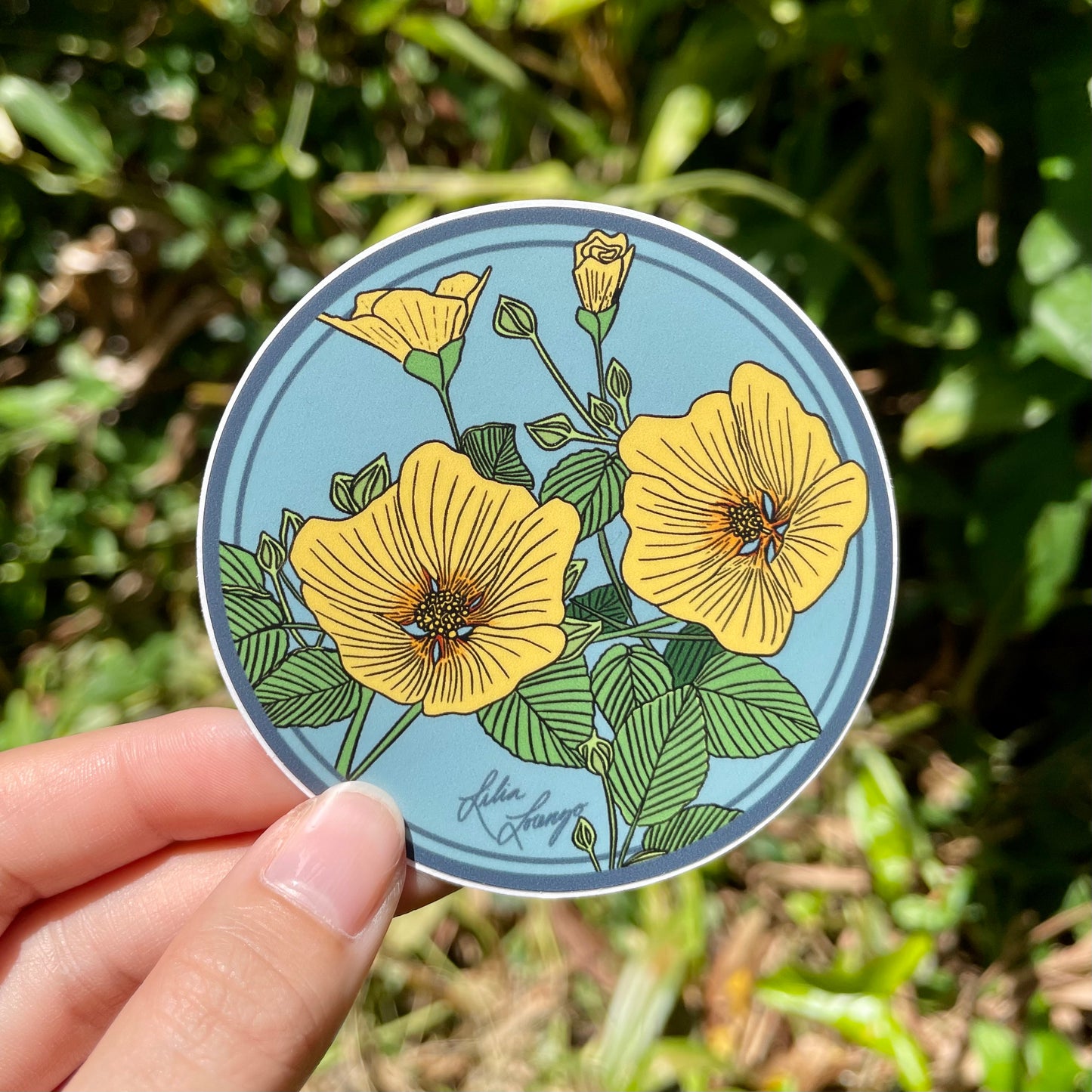 Pepili Pōʻai | ʻIlima