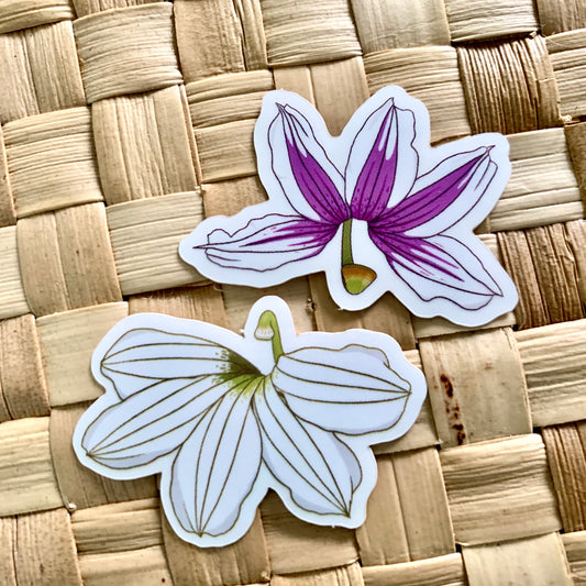 Pepili | Naupaka Kahakai + Kuahiwi Set