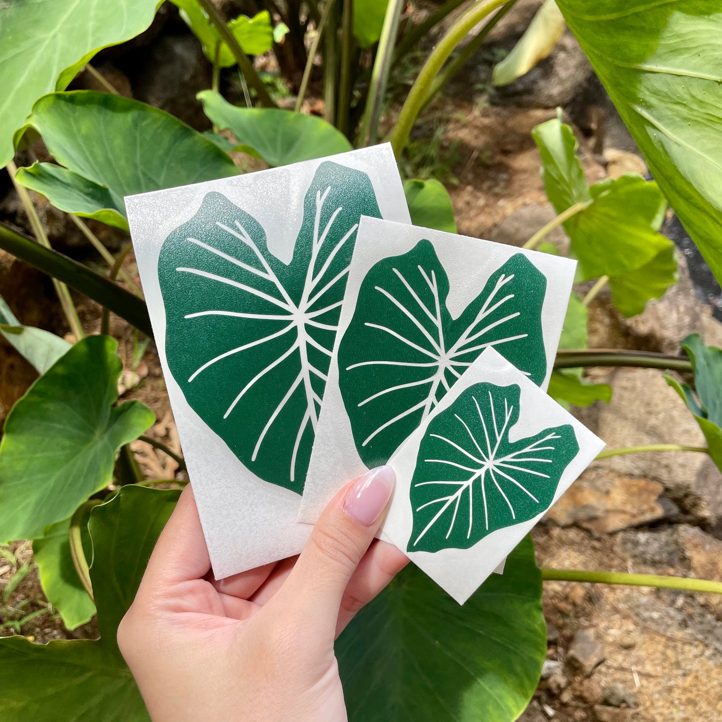 Pepili Hoʻololi | Lau Kalo Decal