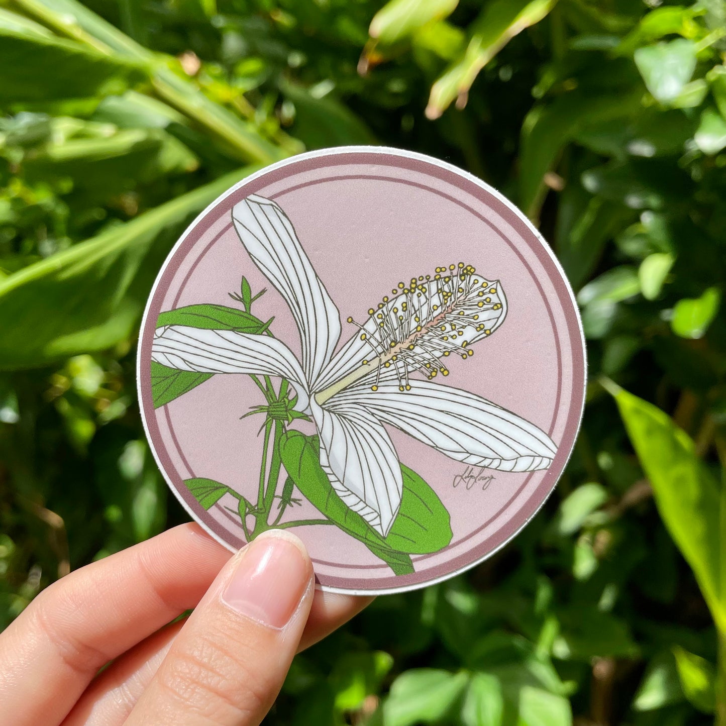 Pepili Pōʻai | Kokiʻo Keʻokeʻo