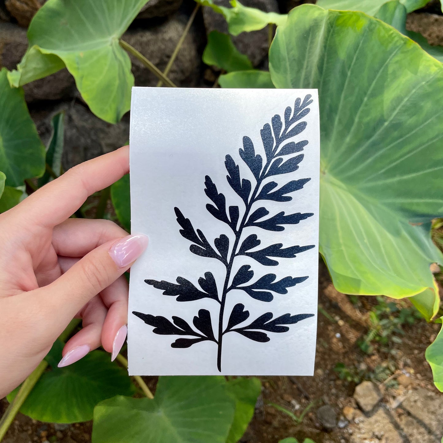 Pepili Hoʻololi | ʻIwaʻiwa a Kāne Decal