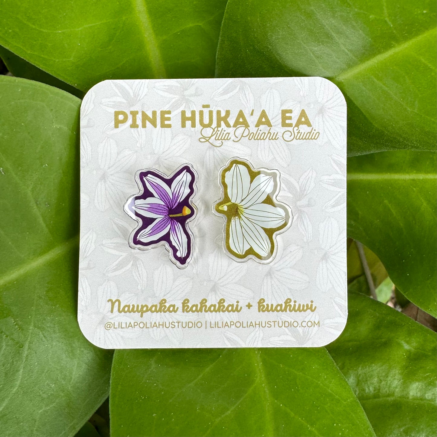 Pine Hūkaʻa ʻEa | Naupaka Kahakai + Kuahiwi