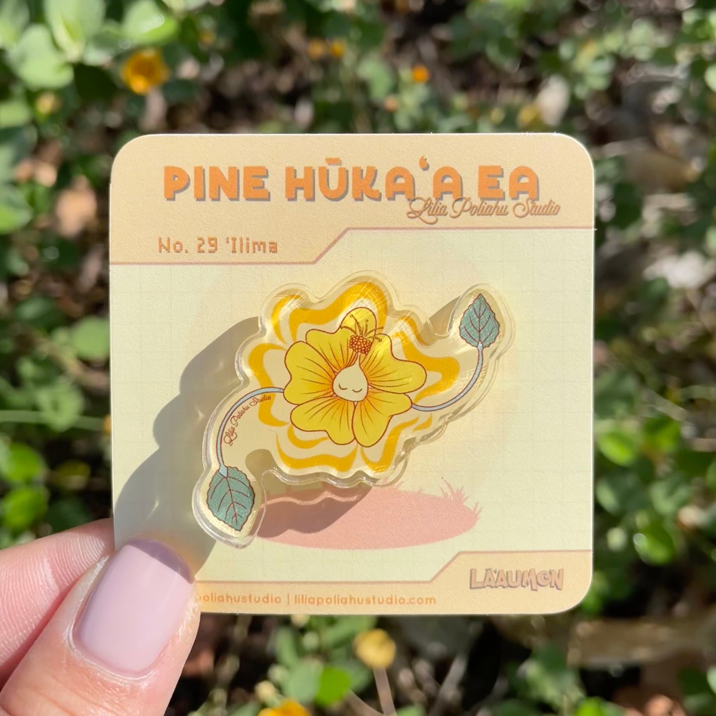 Pine Hūkaʻa ʻEa | No. 29 ʻIlima