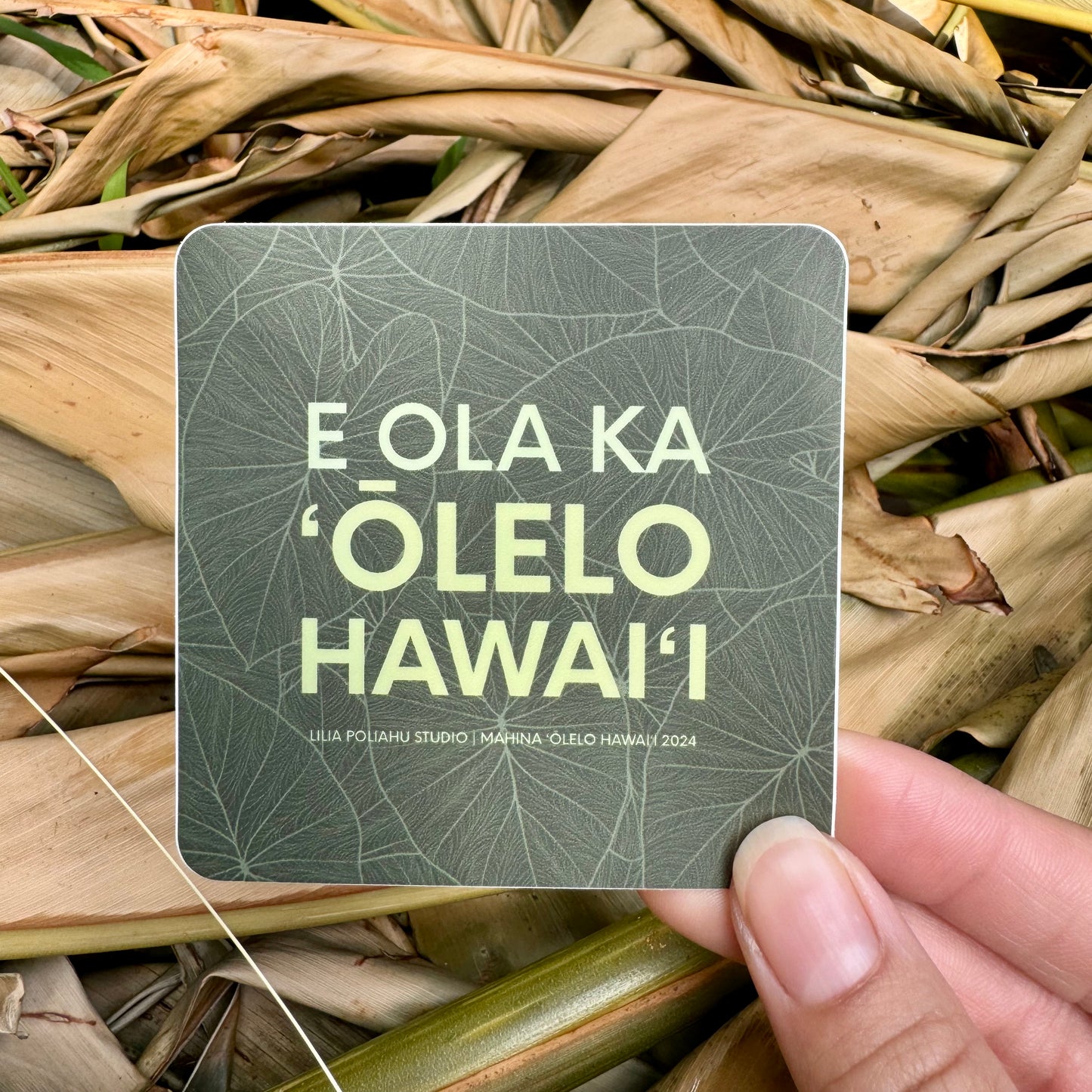 Pepili | E Ola Ka ʻŌlelo Hawaiʻi