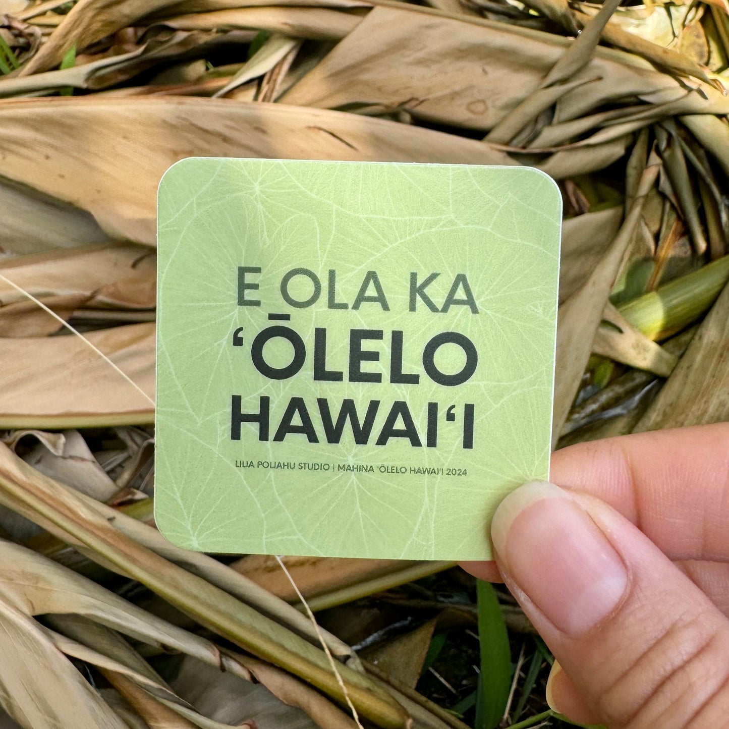 Pepili | E Ola Ka ʻŌlelo Hawaiʻi