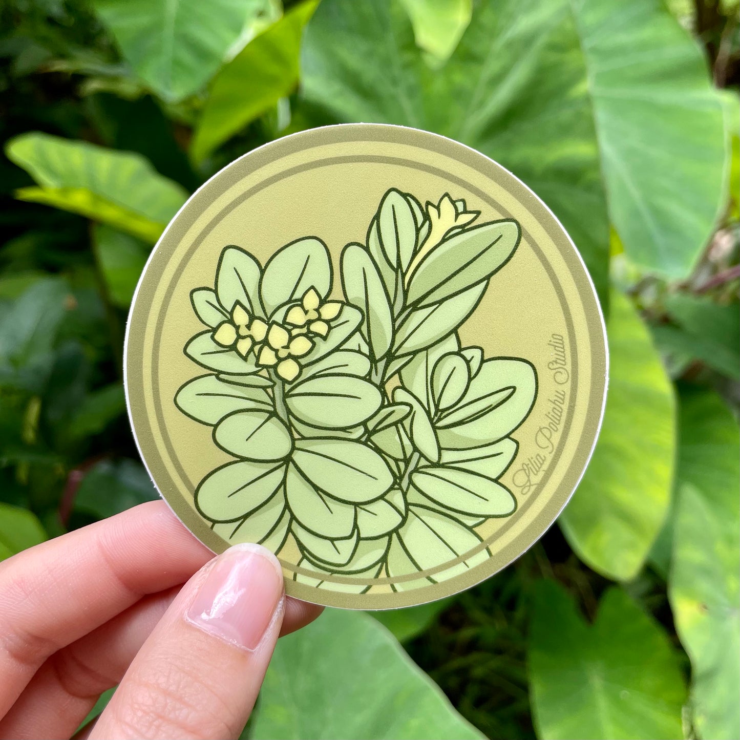 Pepili Pōʻai | ʻĀkia