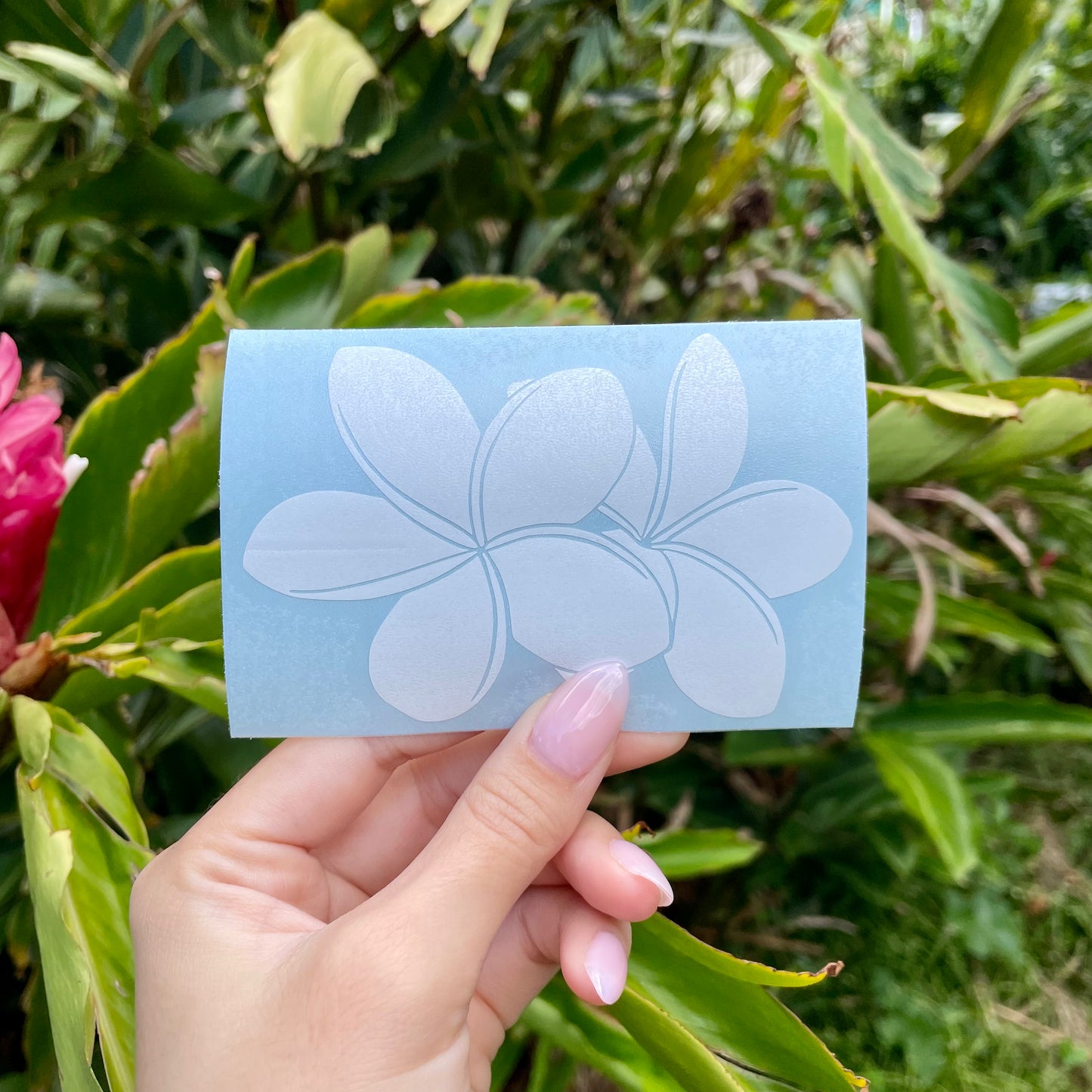 Pepili Hoʻololi | Pua Melia Decal
