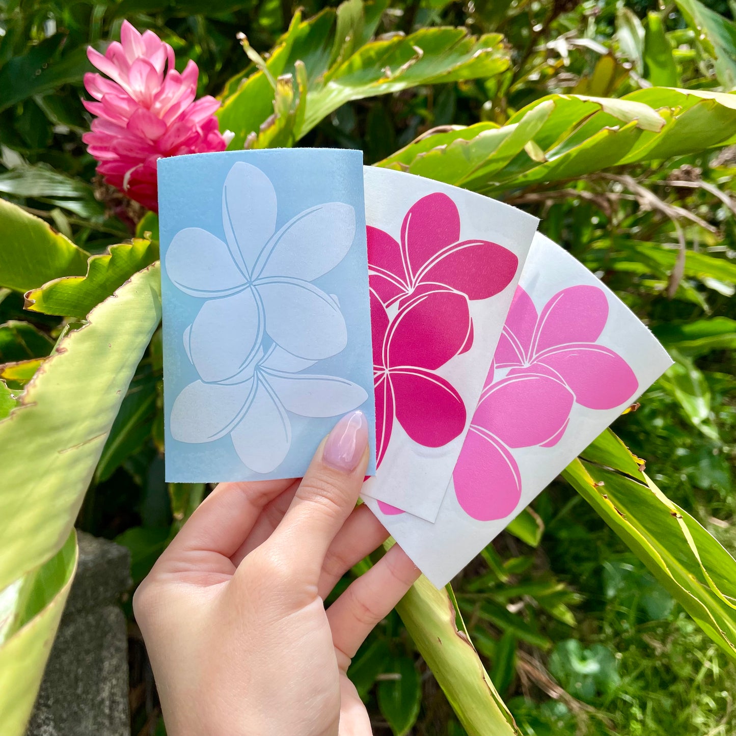 Pepili Hoʻololi | Pua Melia Decal